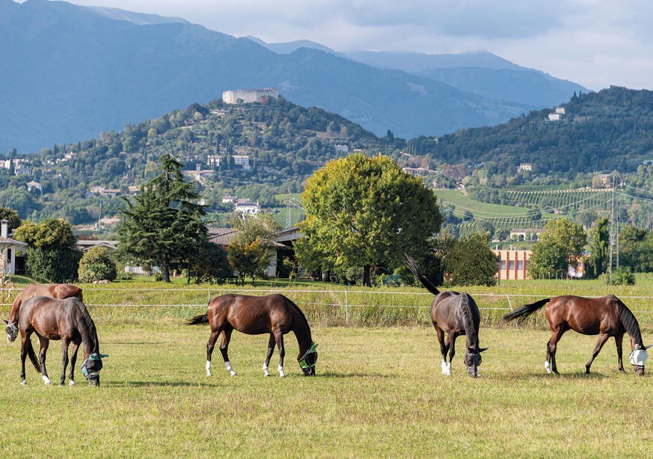 Progress Country & Wine House Aparthotel Asolo Eksteriør bilde